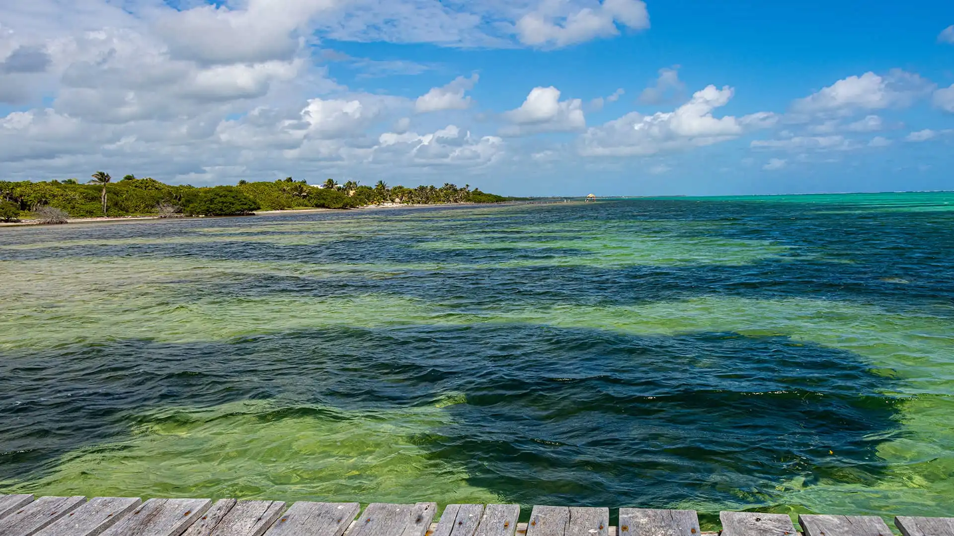 Sailing in the Caribeaan