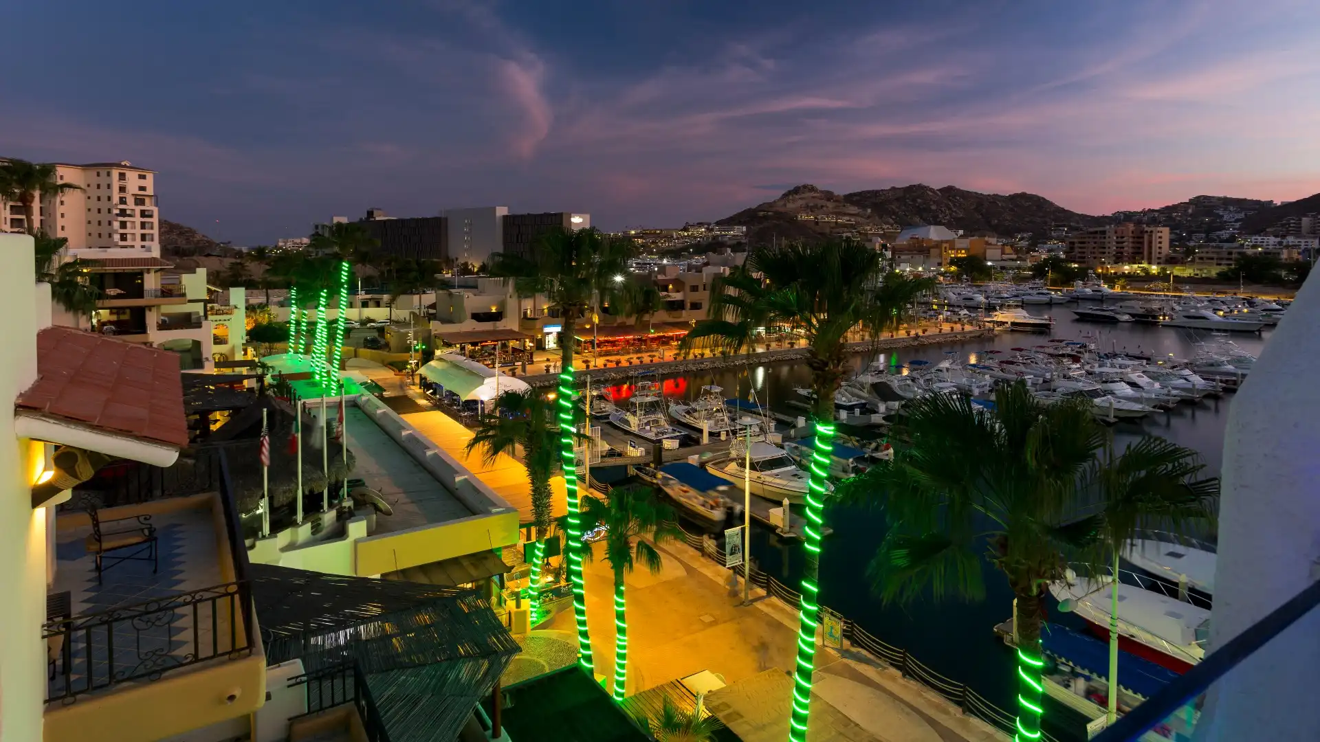 Los Cabos nightlife