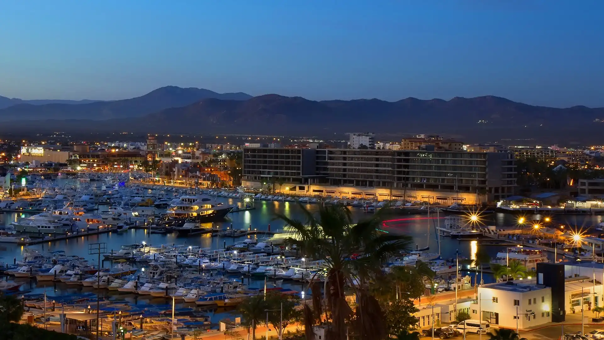 Los Cabos nightlife
