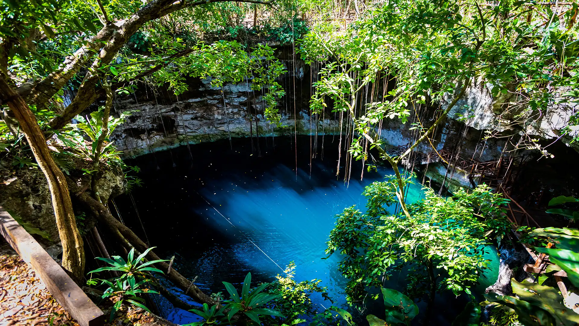 Cenote Secreto Maya