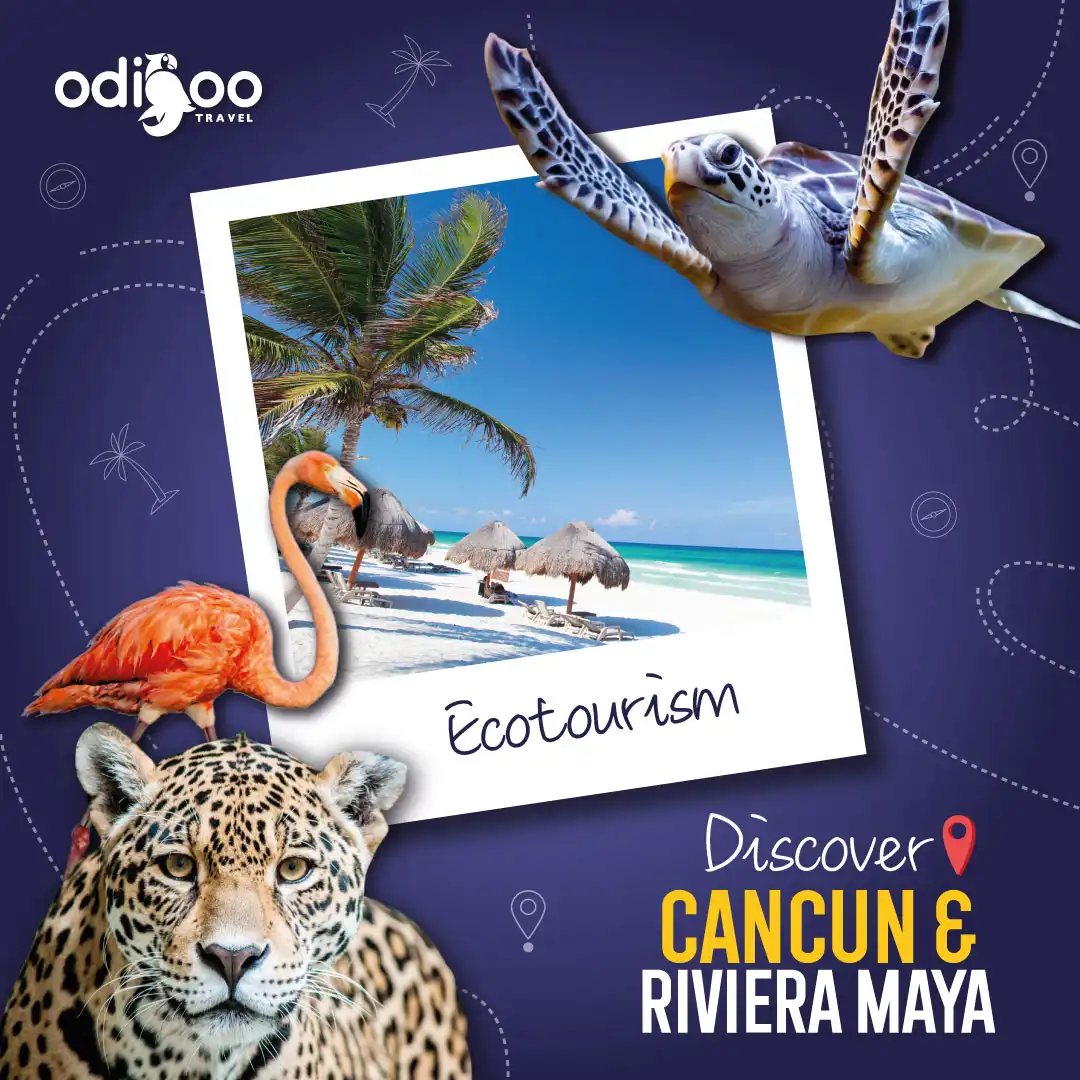 Ecotourism in Cancun
