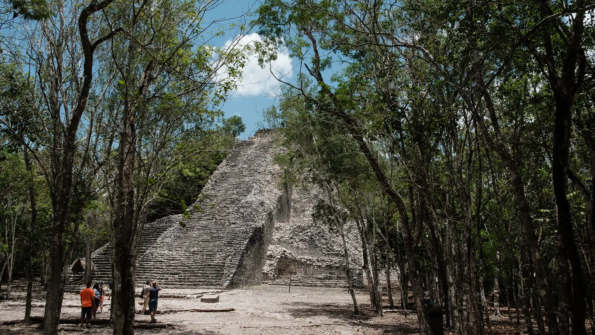 Cobá
