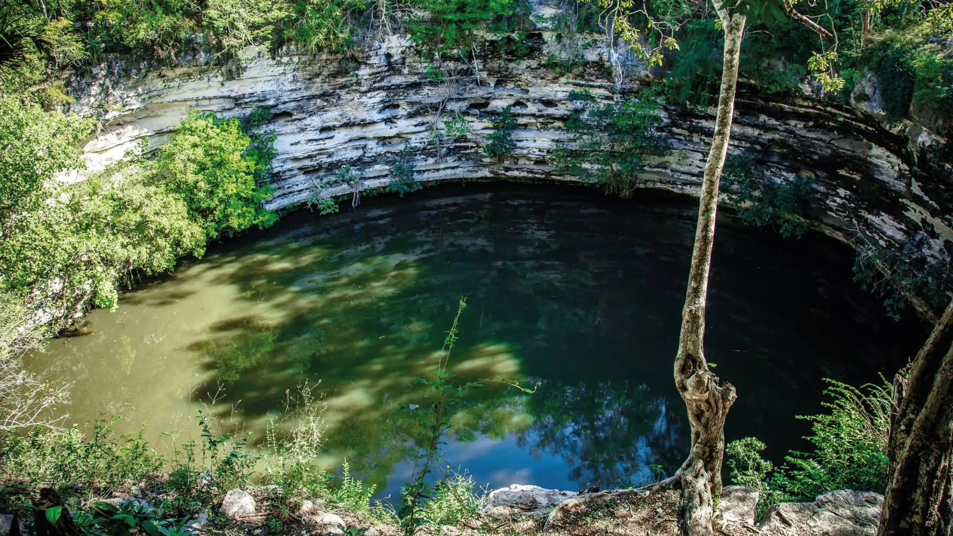 Sacred Cenote