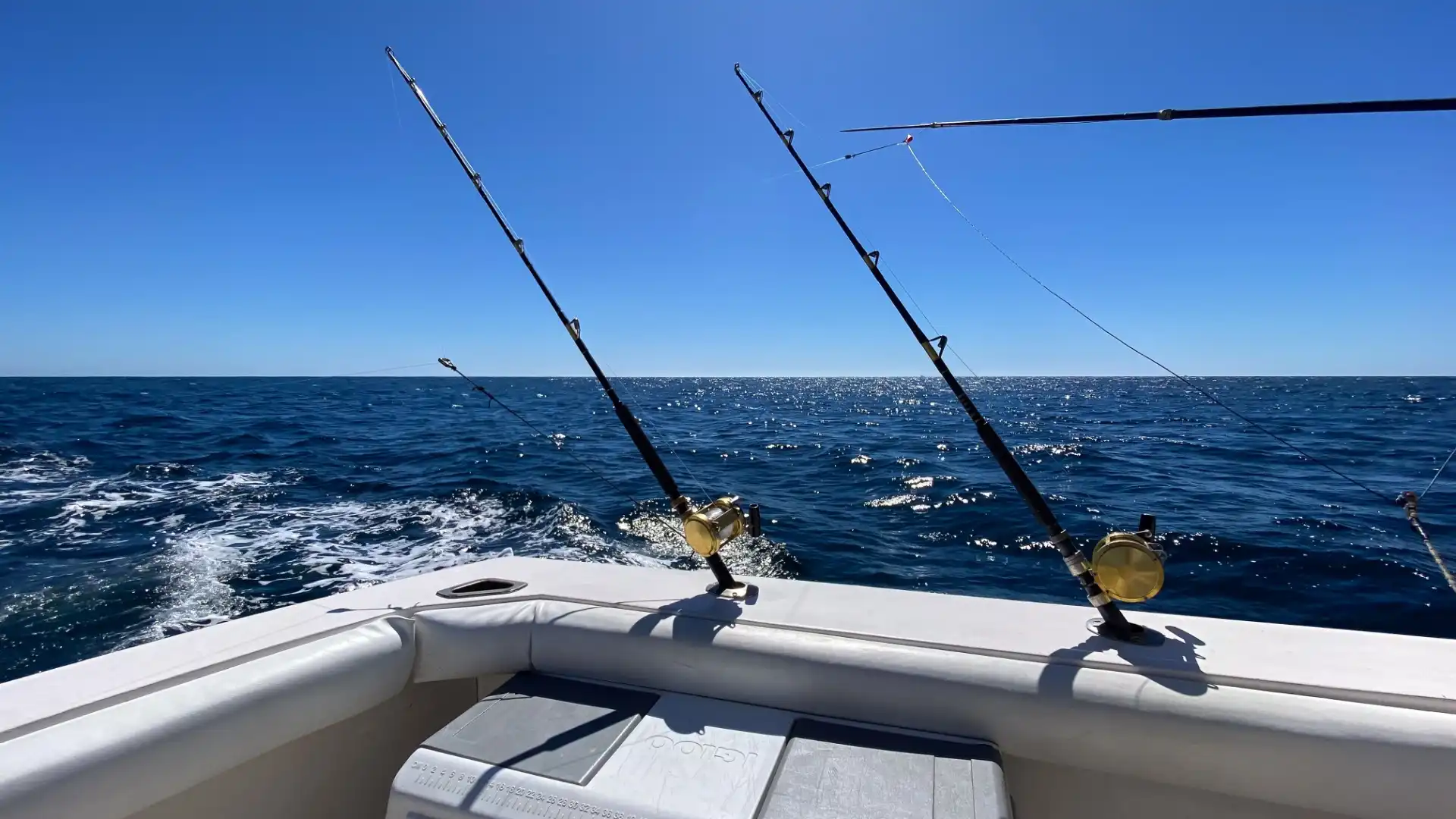 Fishing in Los Cabos