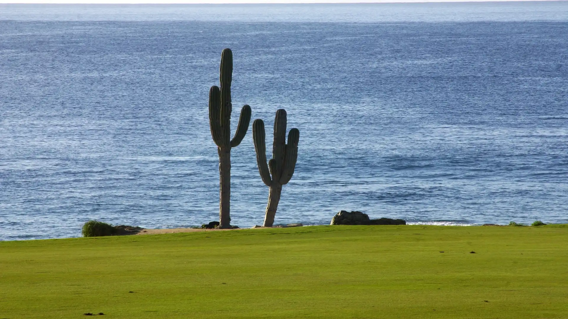 Golf in Los Cabos