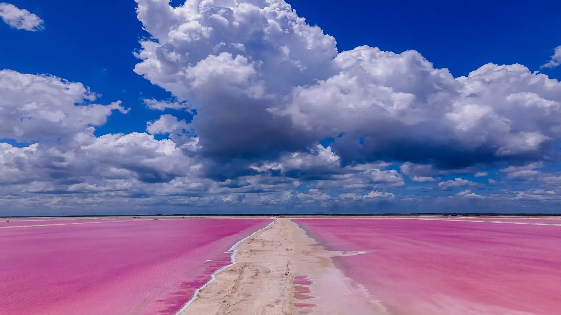 Laguna rosada en Las Coloradas
