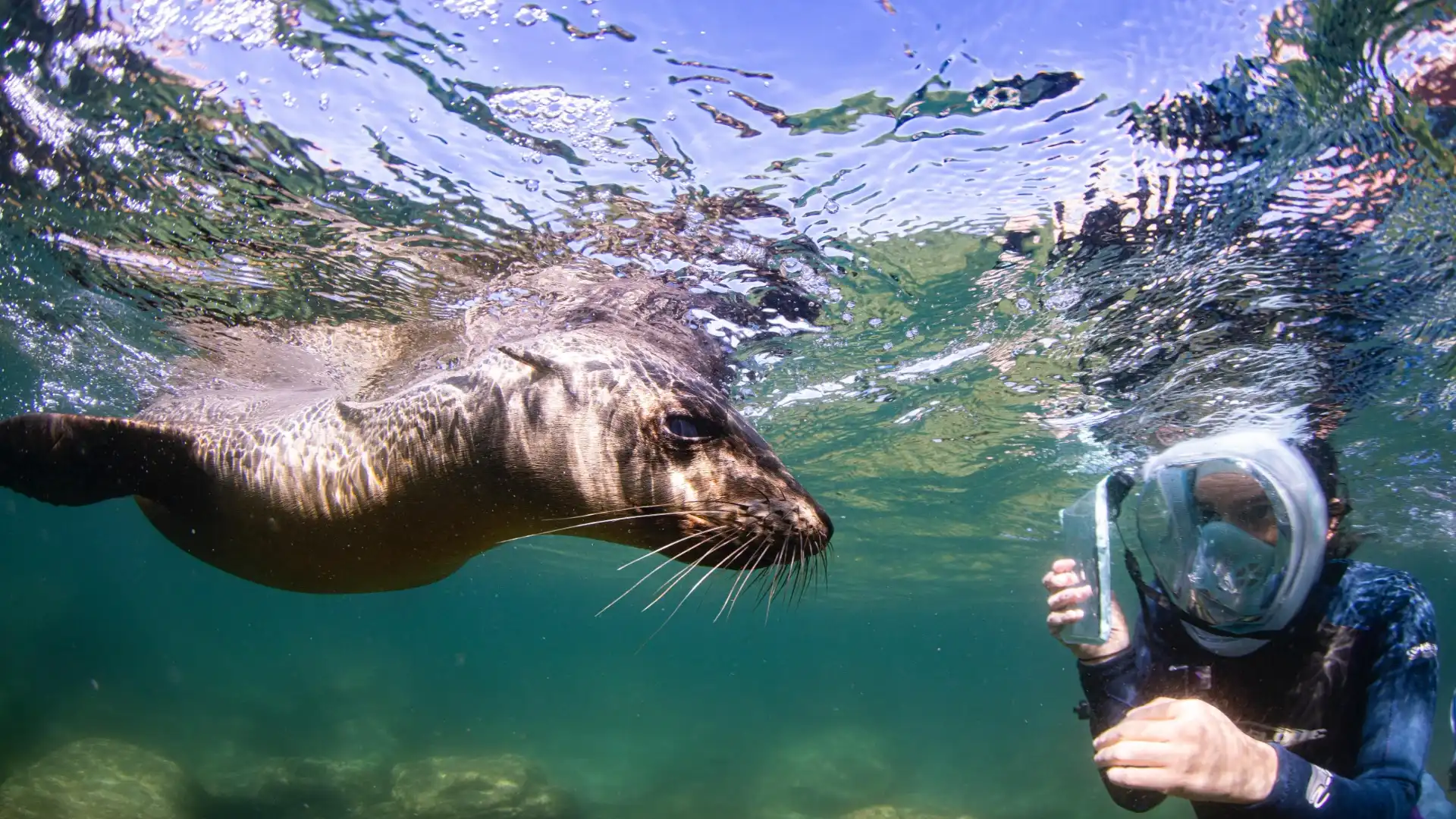 Snorkeling in Los Cabo
