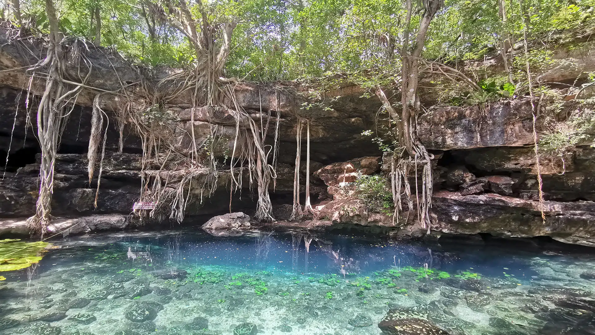 Cenote X'batun