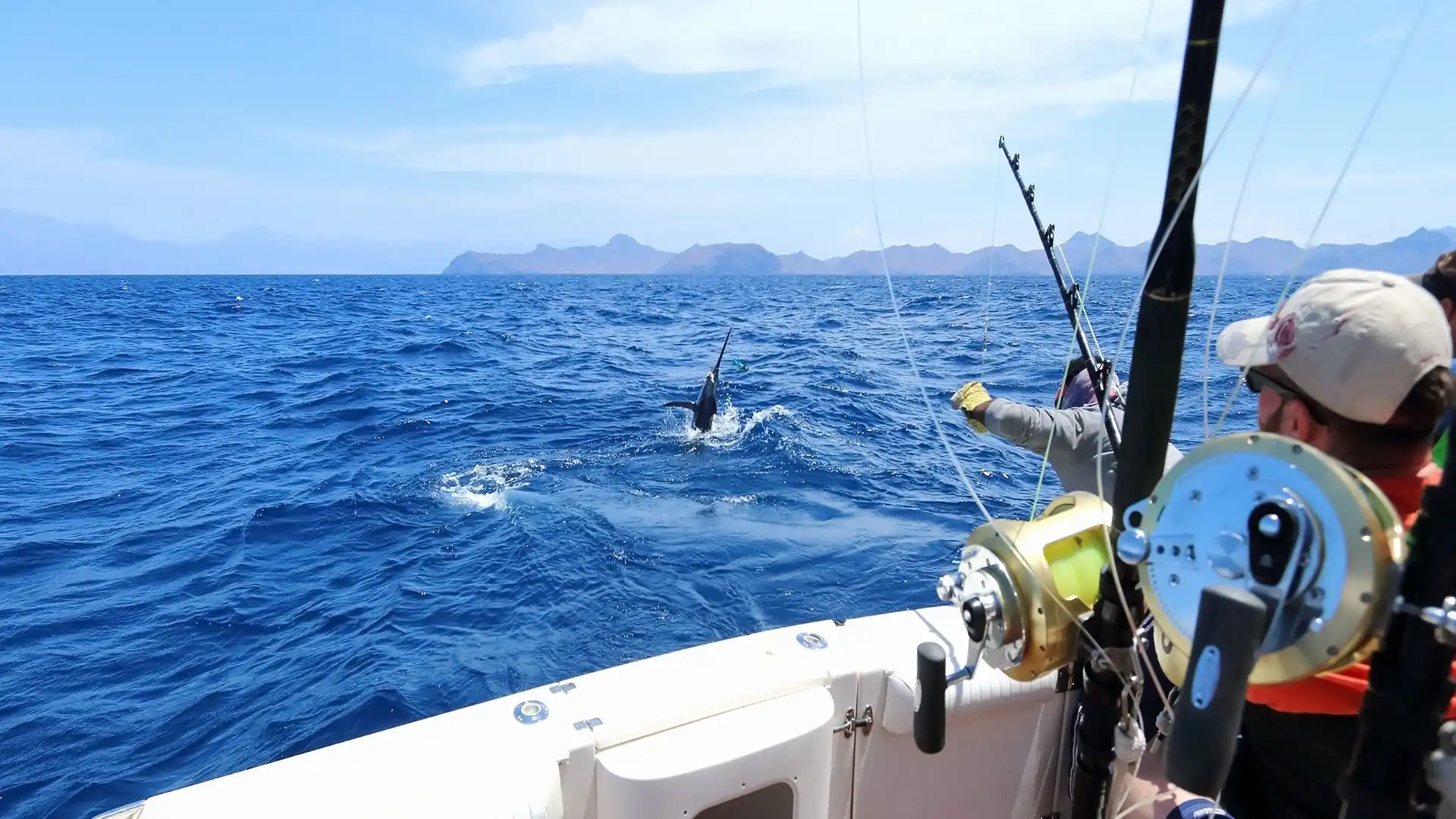 Fishing in Los Cabos Fishing in Los Cabos