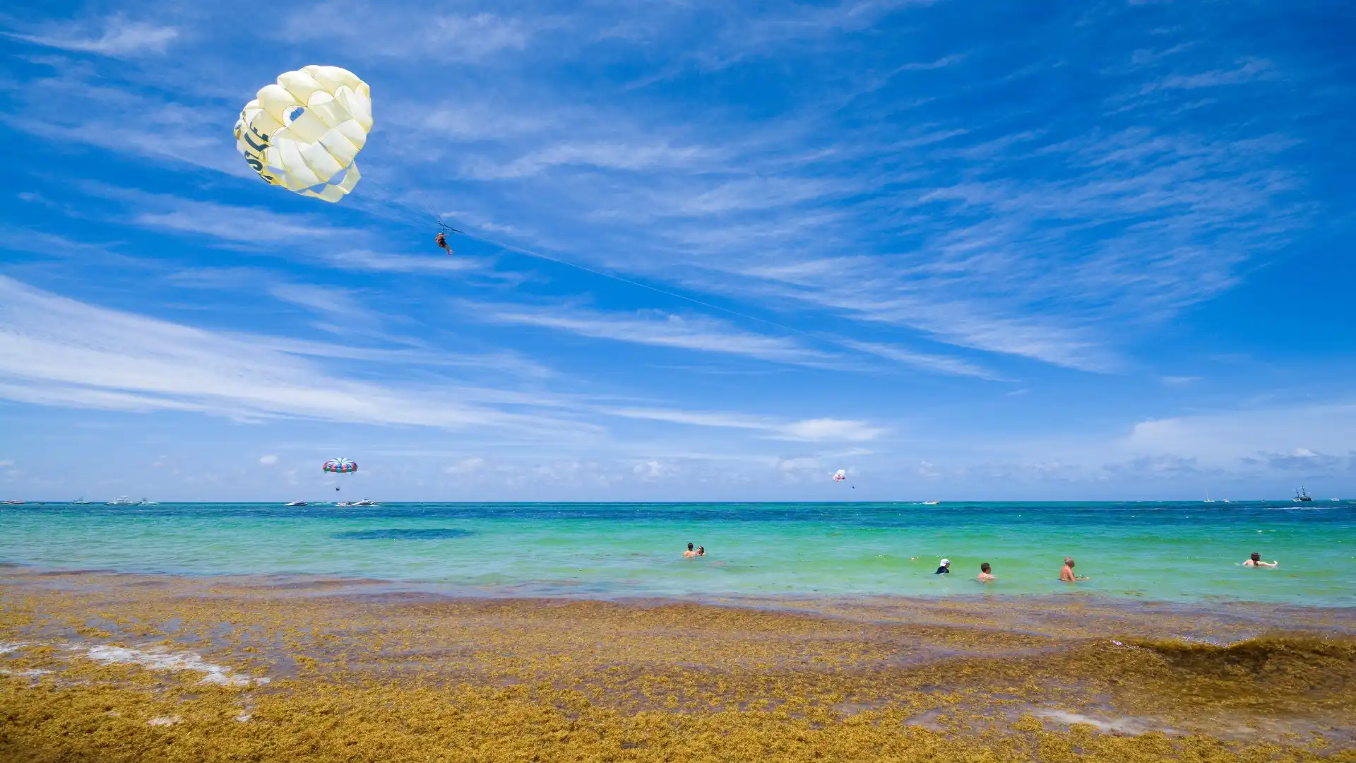 sargassum in Cancun
