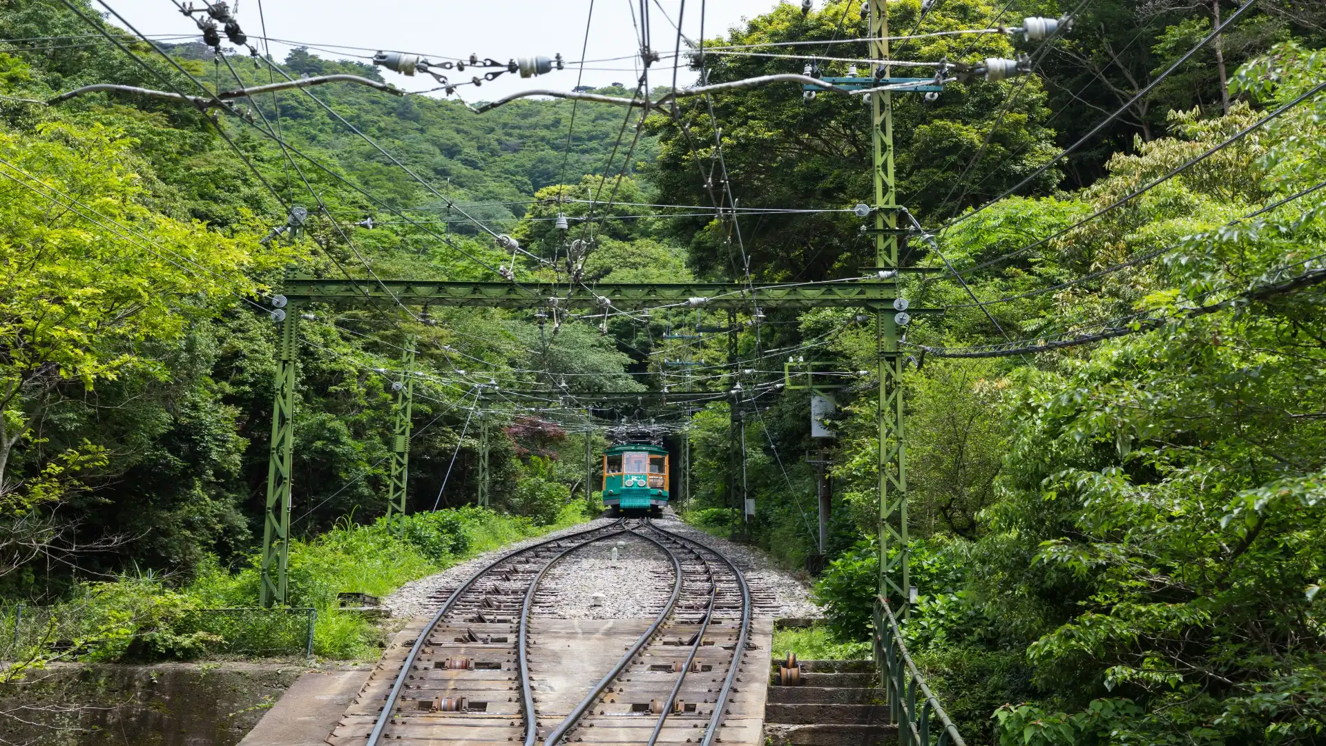 tren maya