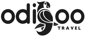 odigoo travel