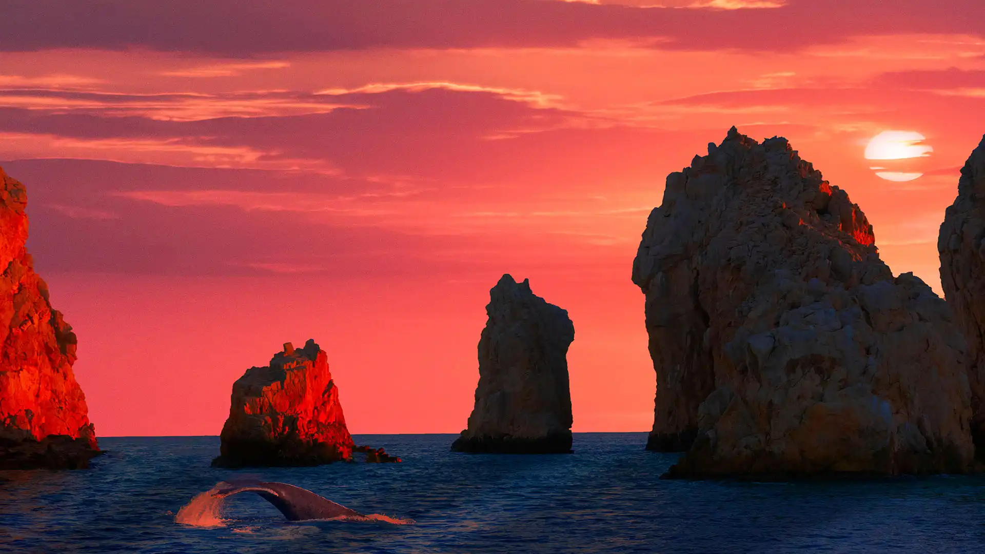 Cabo Sunset