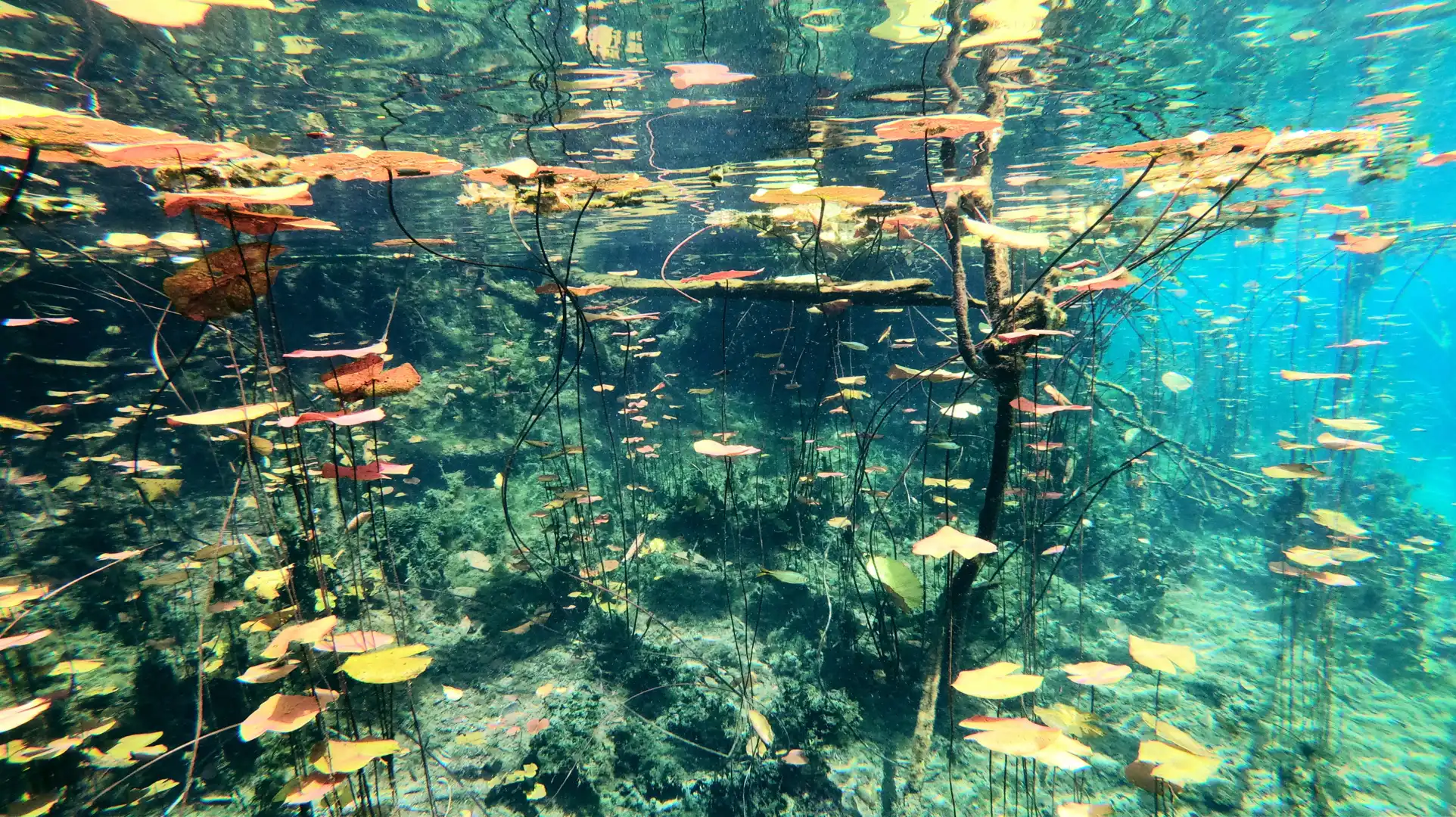 Tulum Tulum