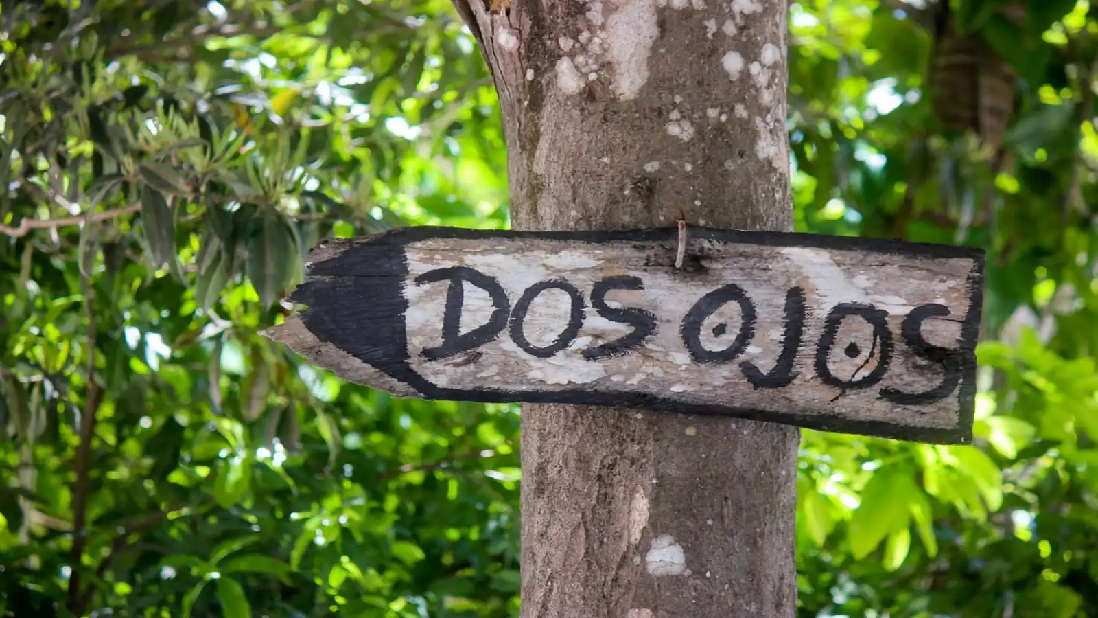 cenote dos ojos cenote dos ojos