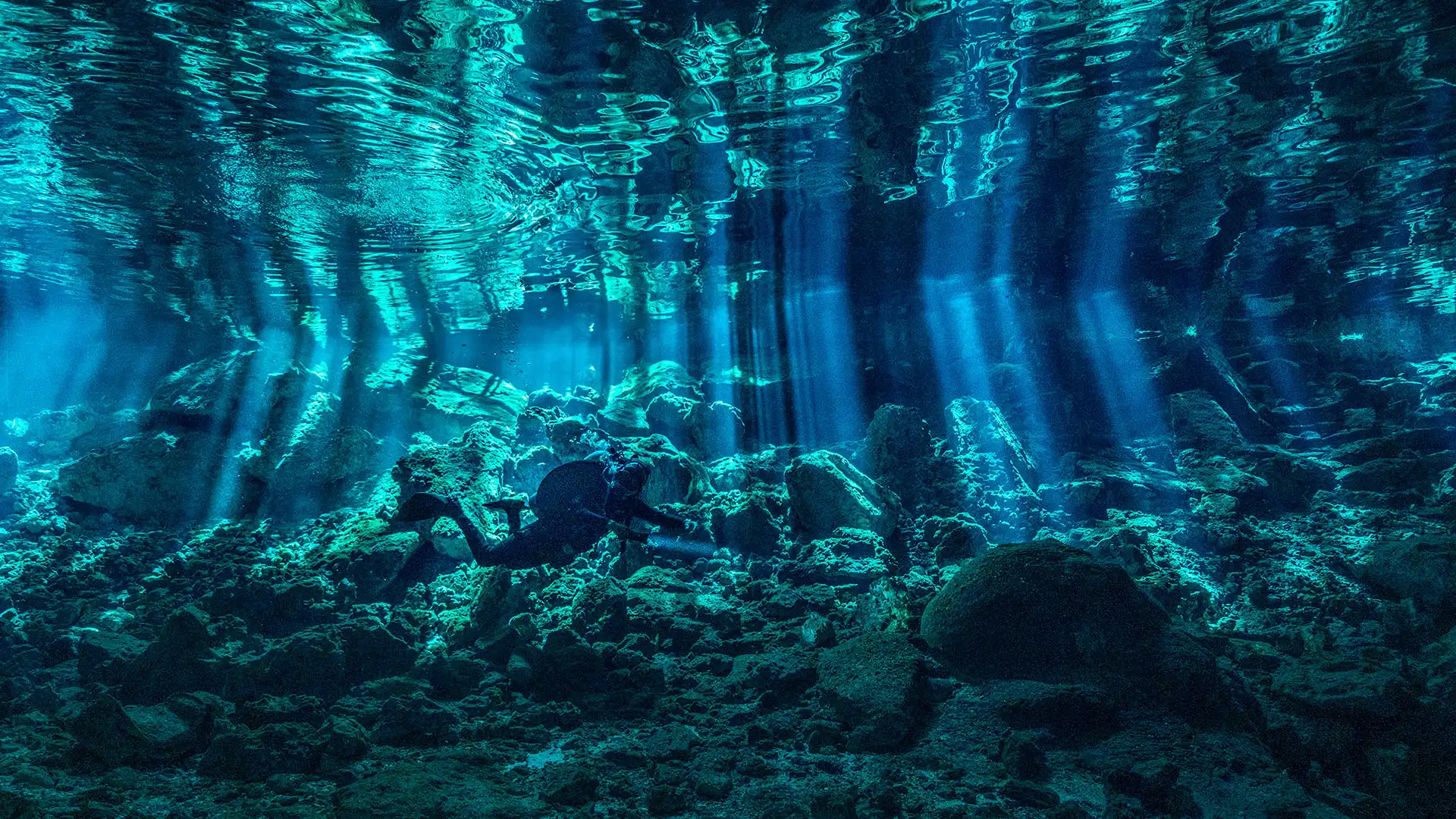 Cenote Dos Ojos