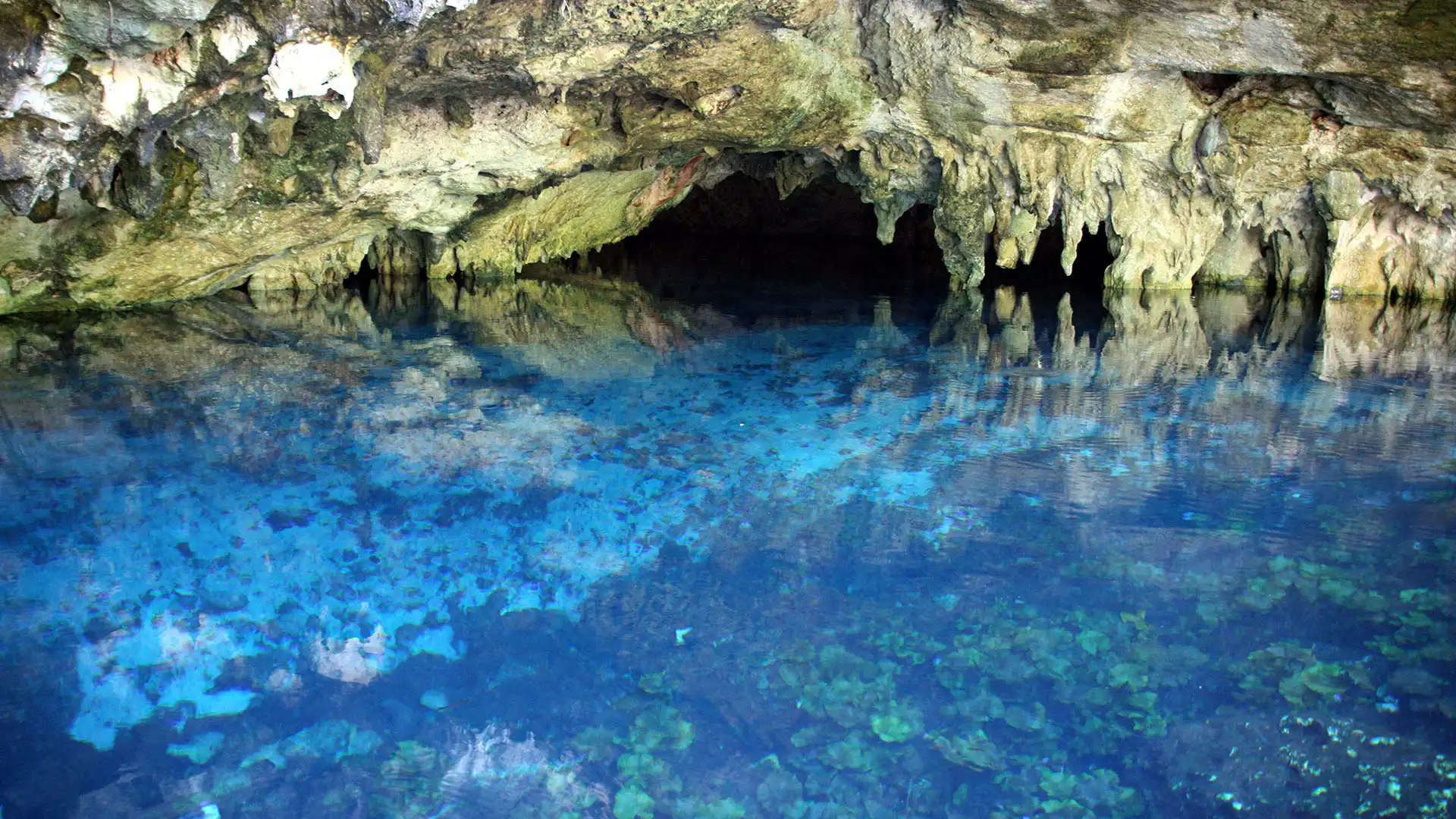 Gran Cenote