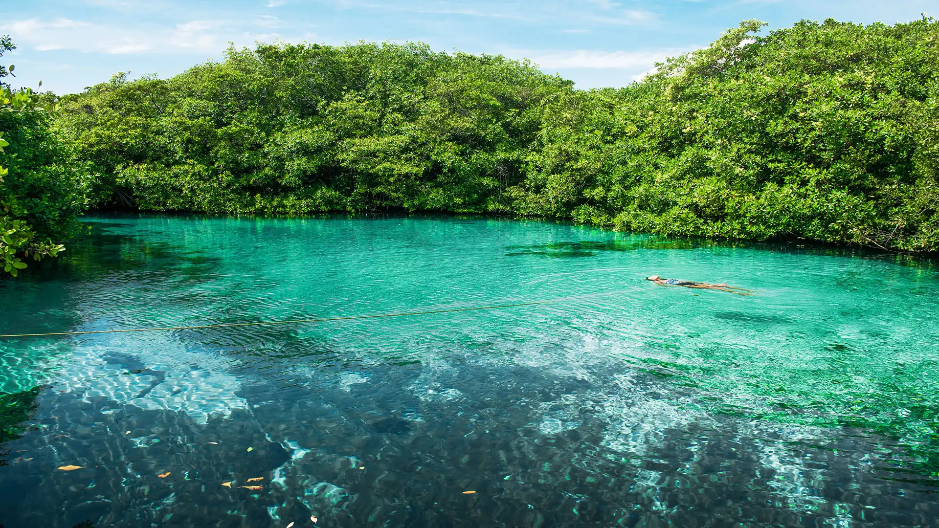 Cenotes in Tulum