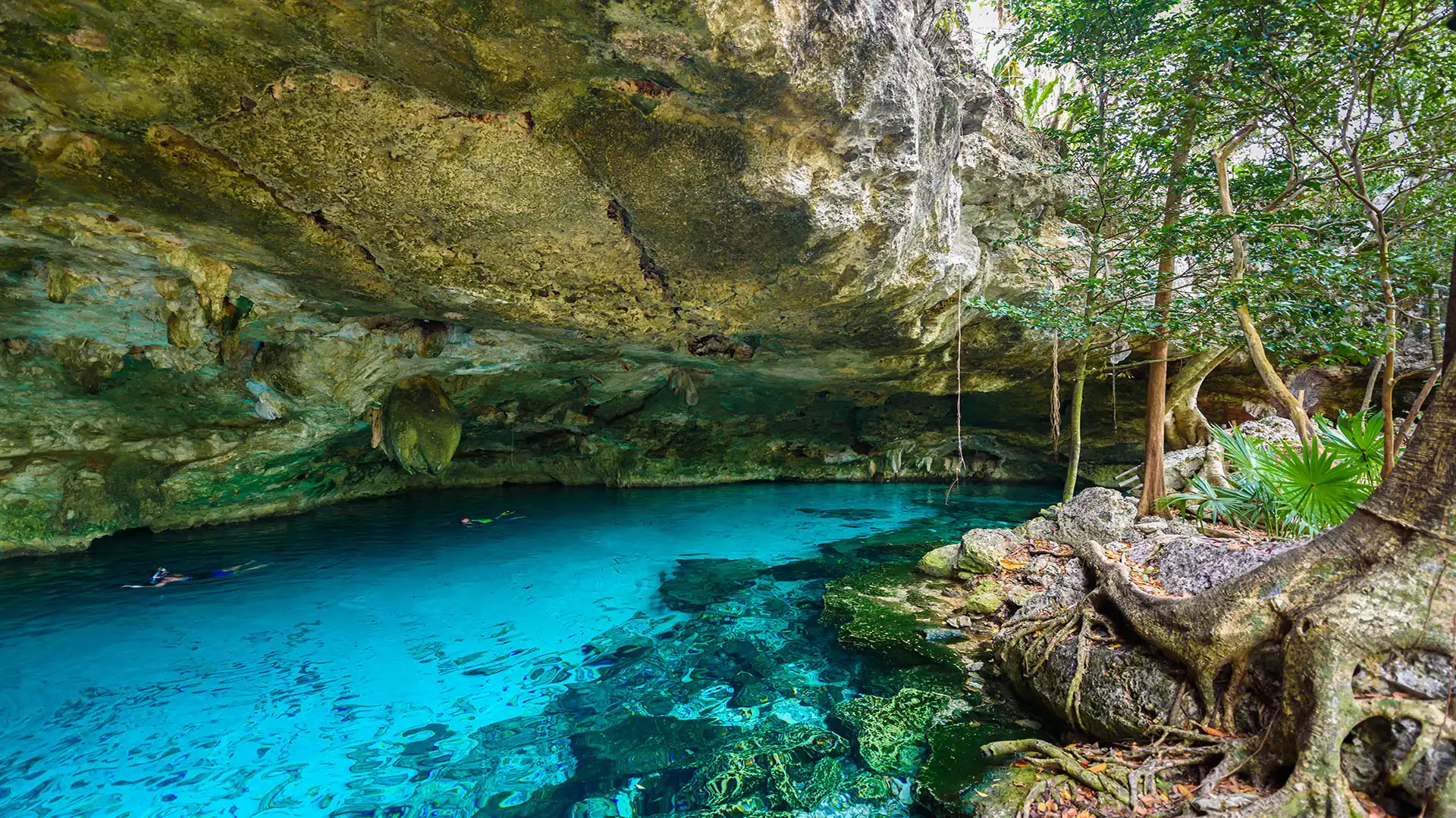 Gran cenote Gran cenote