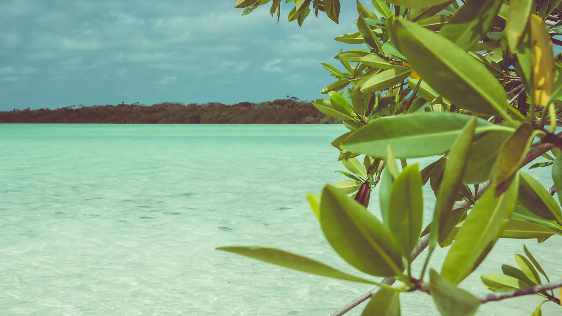 Kaan Luum Lagoon