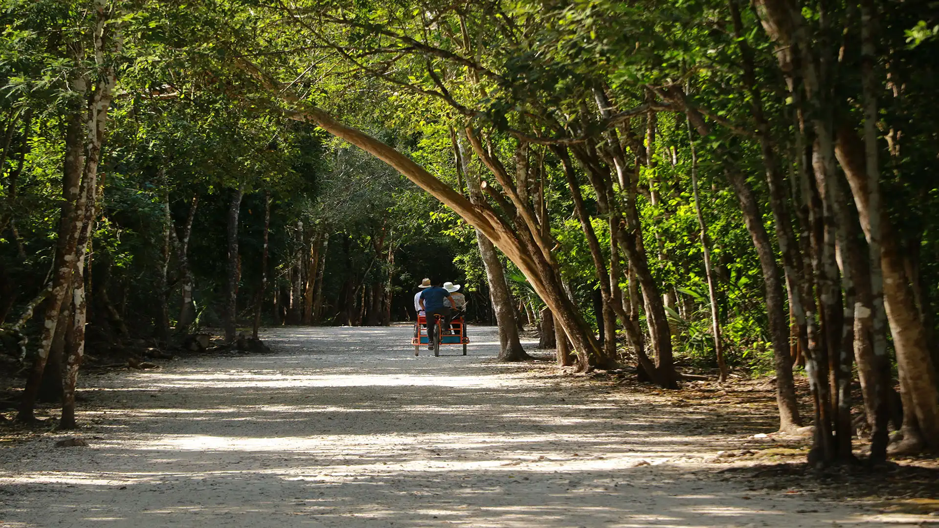 Coba Bike Ride