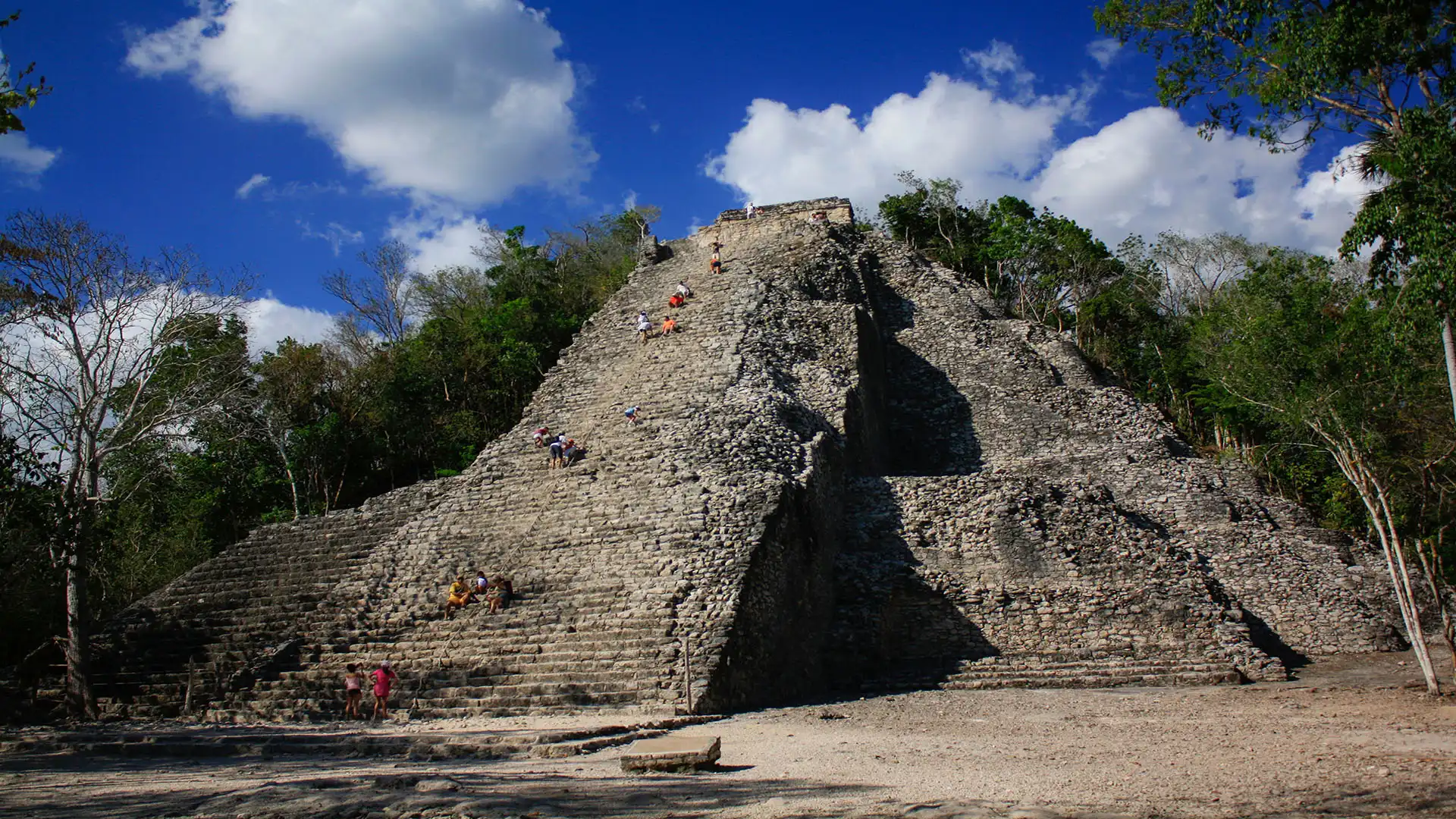 Cobá
