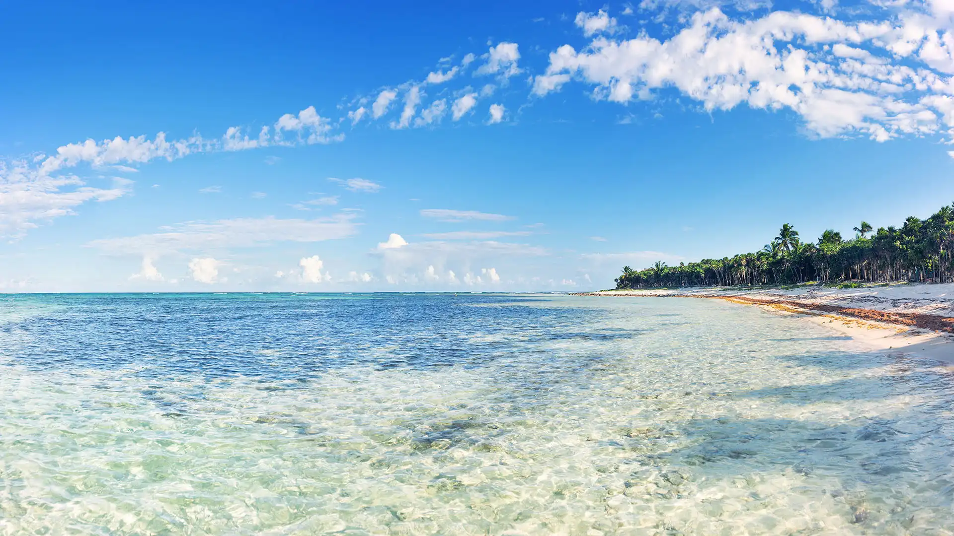 Soliman Bay