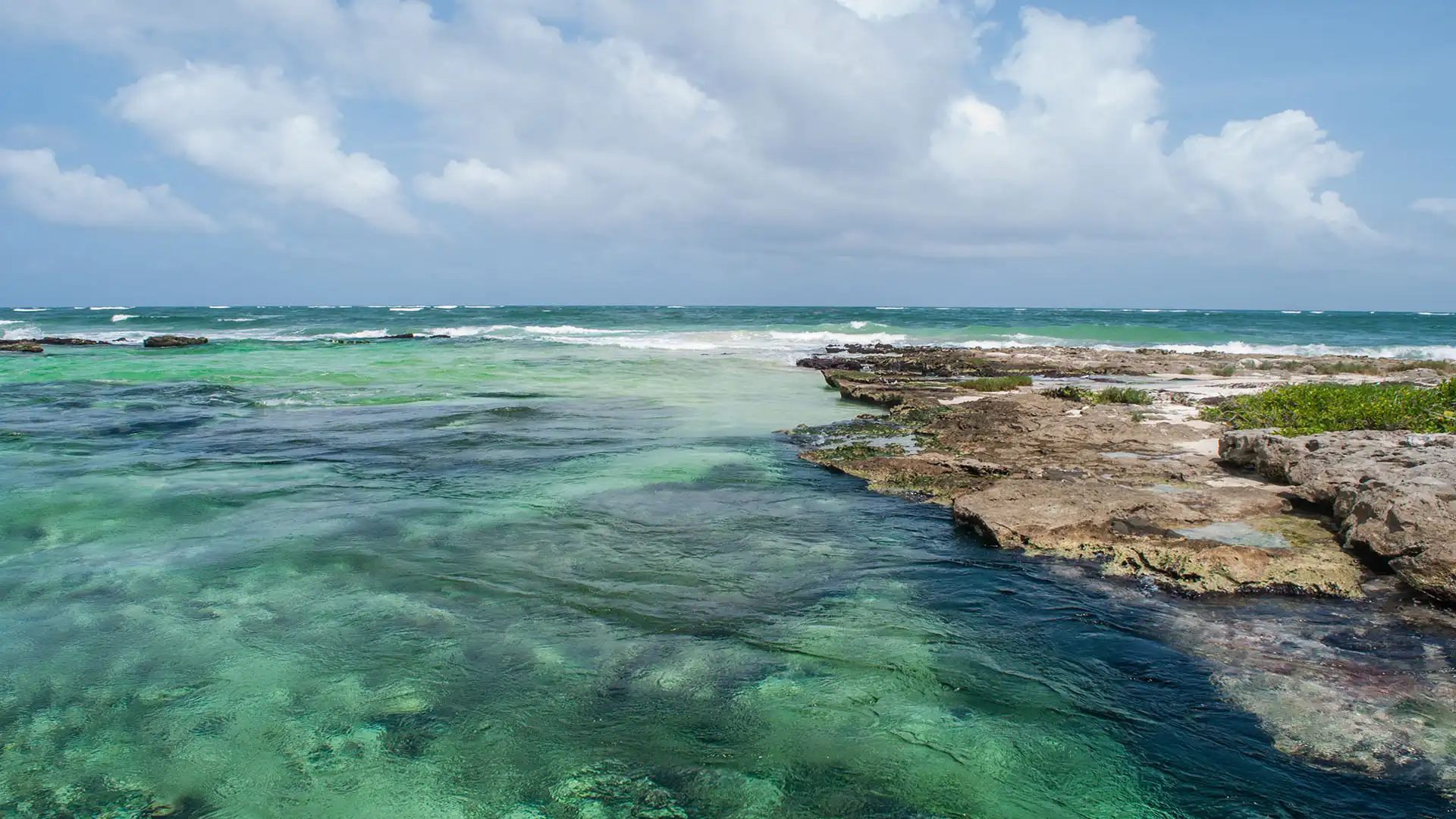 Tankah Bay