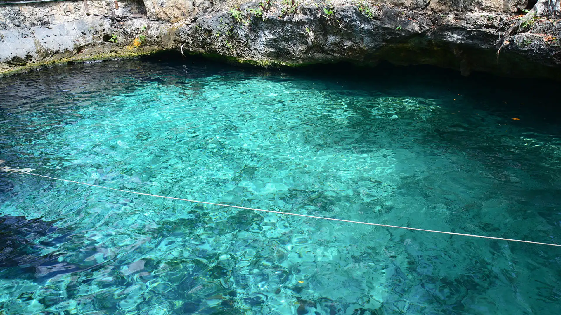 cenote ZacilHa cenote ZacilHa