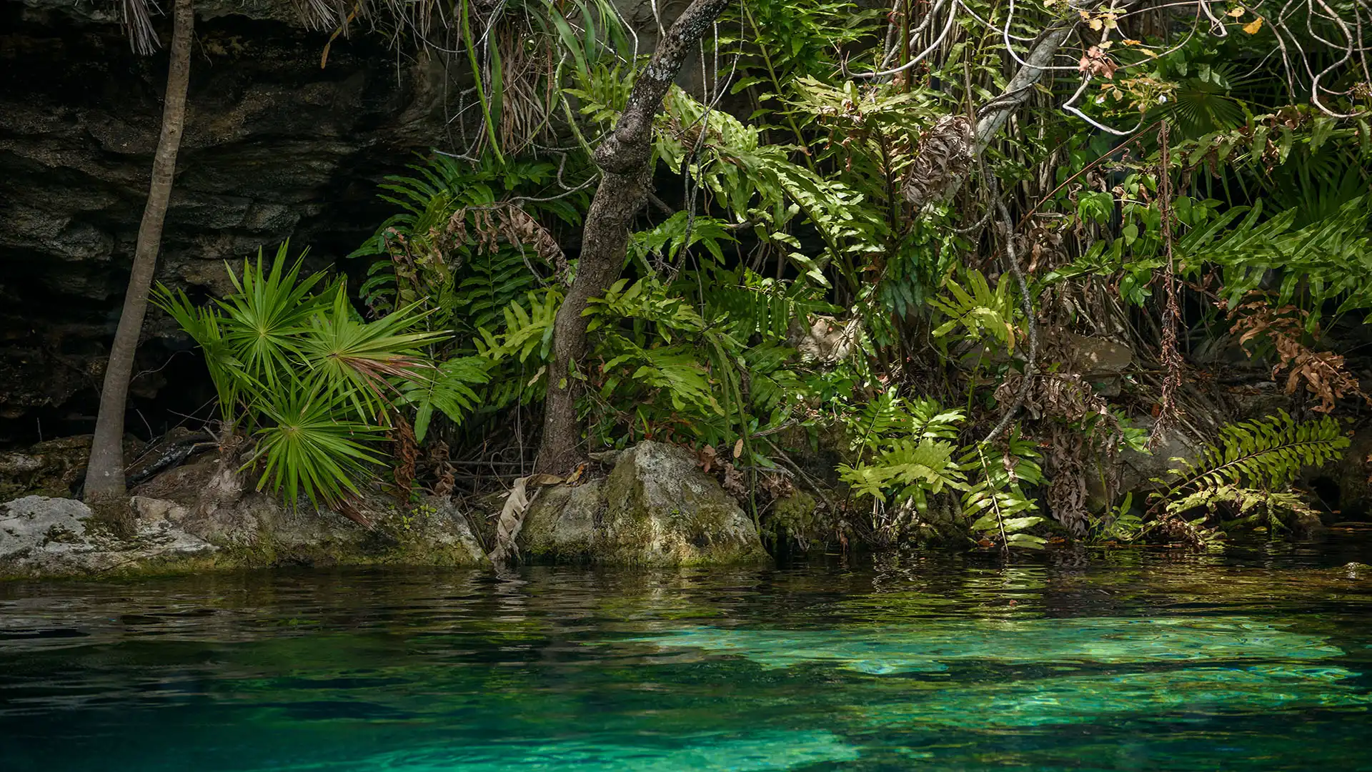 cenote ZacilHa cenote ZacilHa