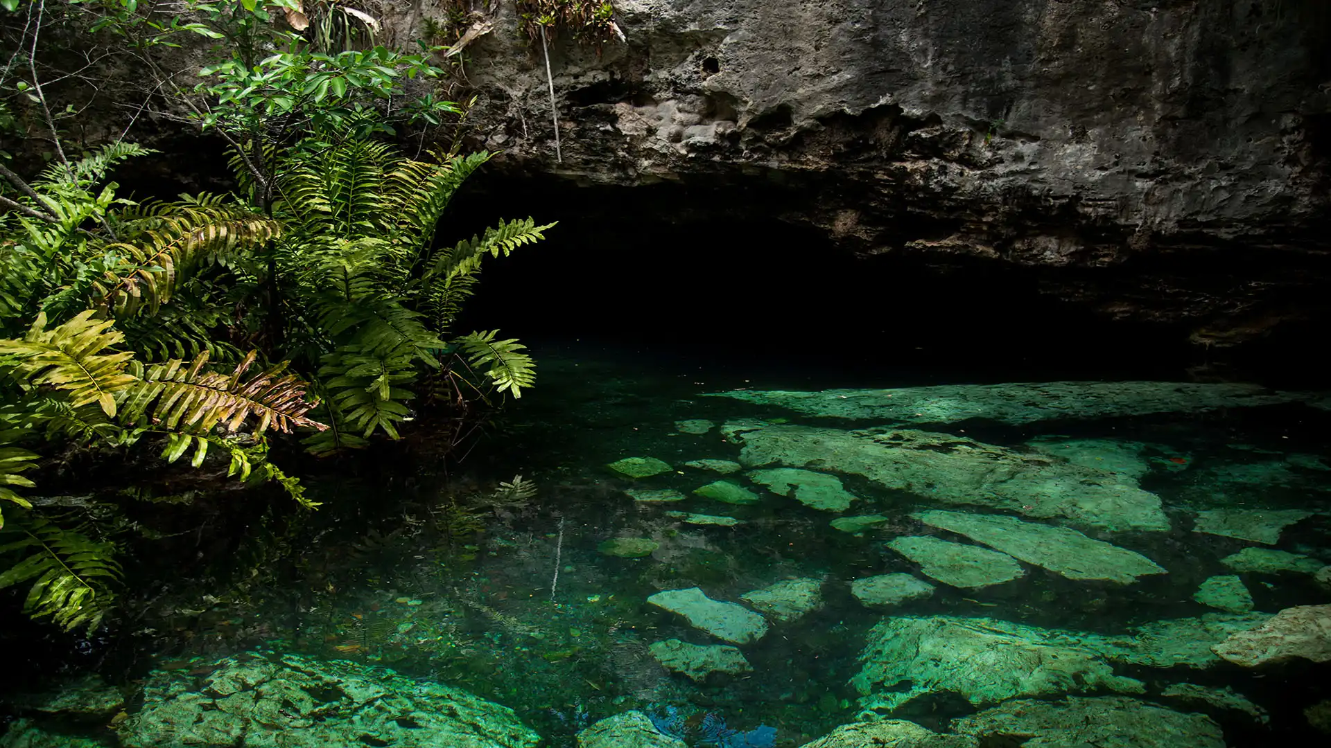 cenote ZacilHa cenote ZacilHa