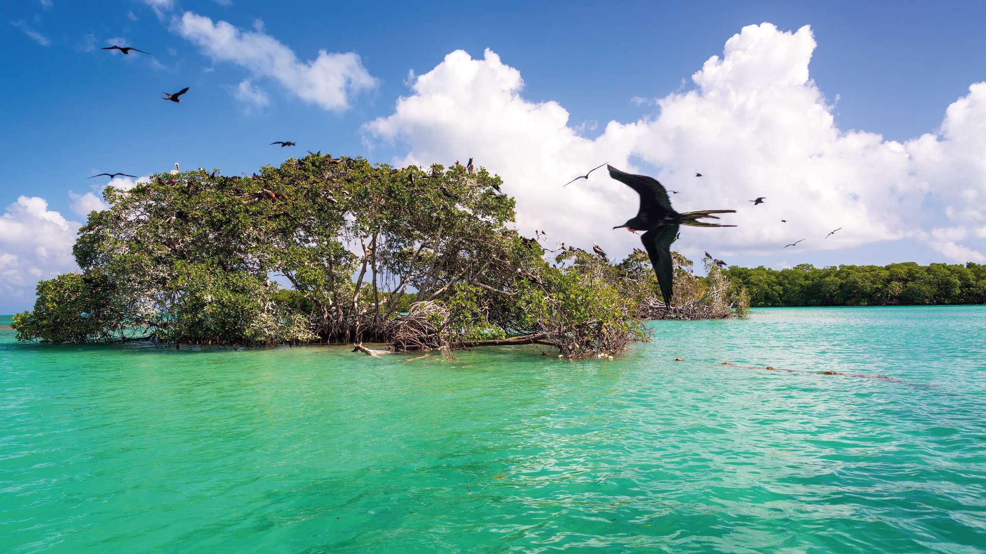 Sian Ka'an Biosphere Reserve