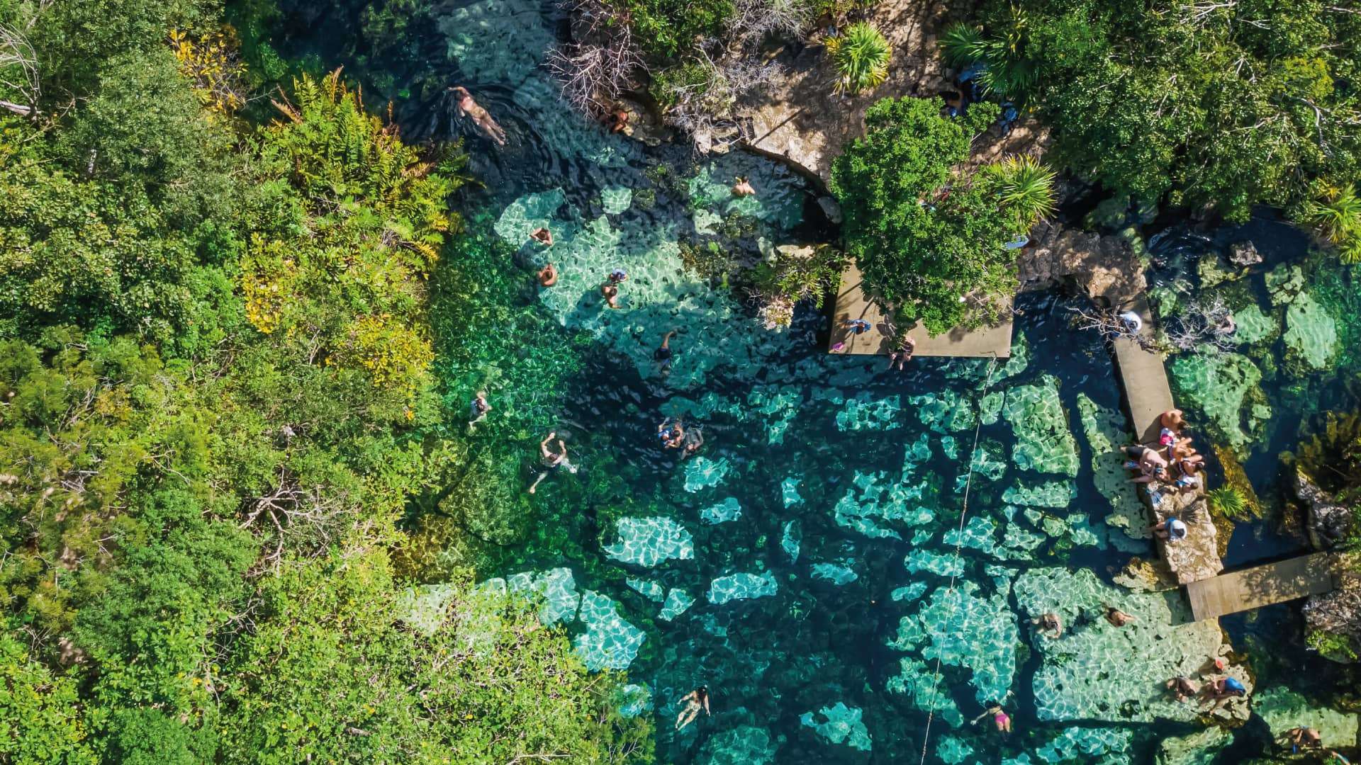 Cenotes in Cancún and the Riviera Maya