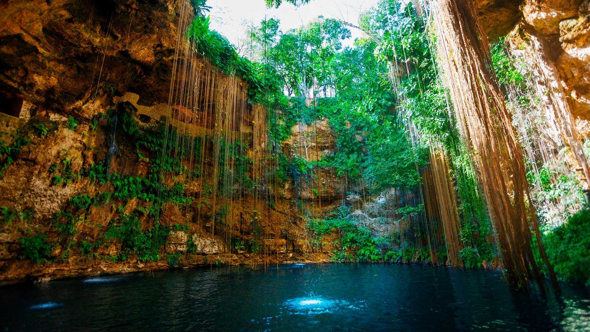 Semi-open cenotes