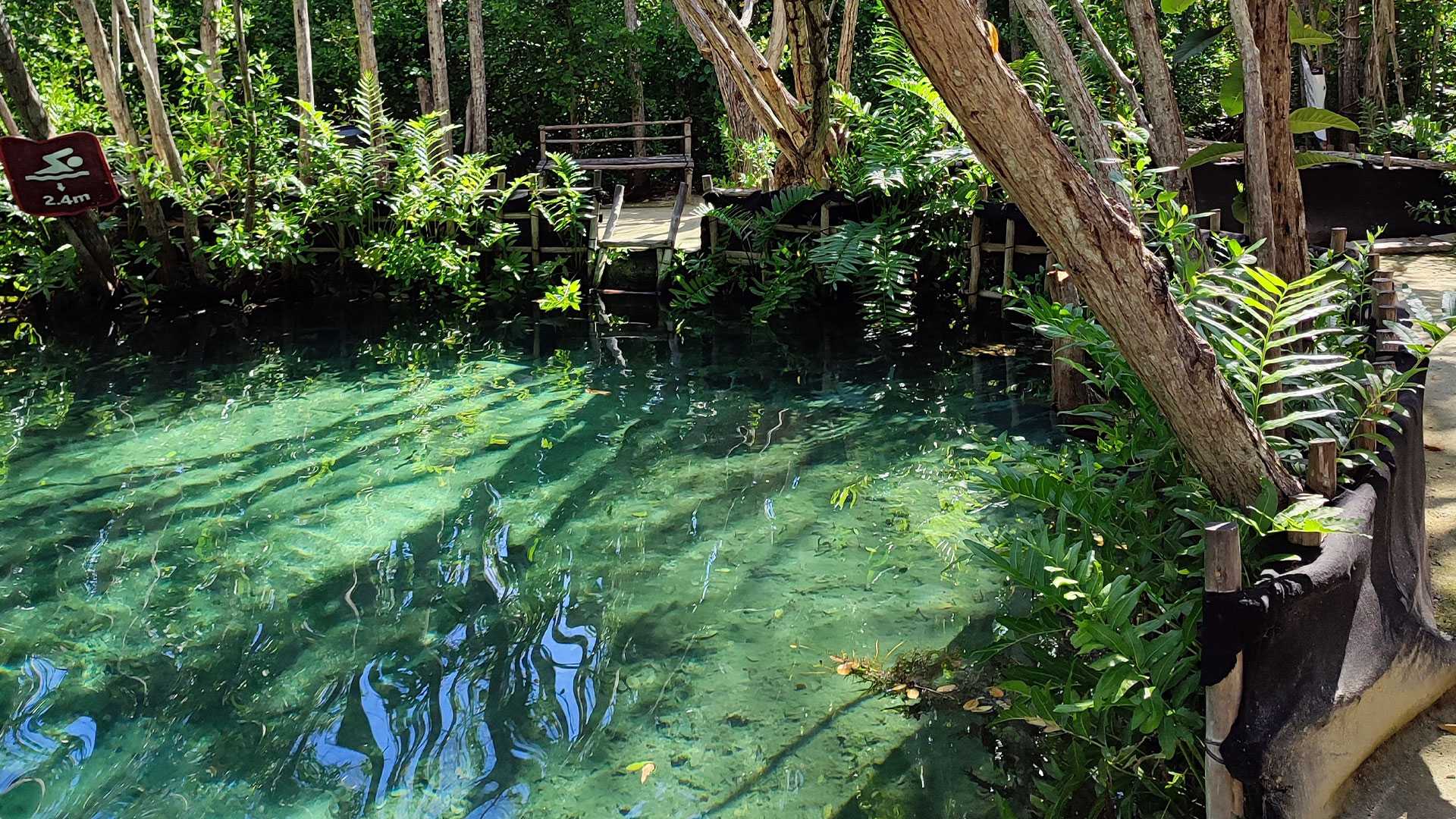 Cenotes in Mexico