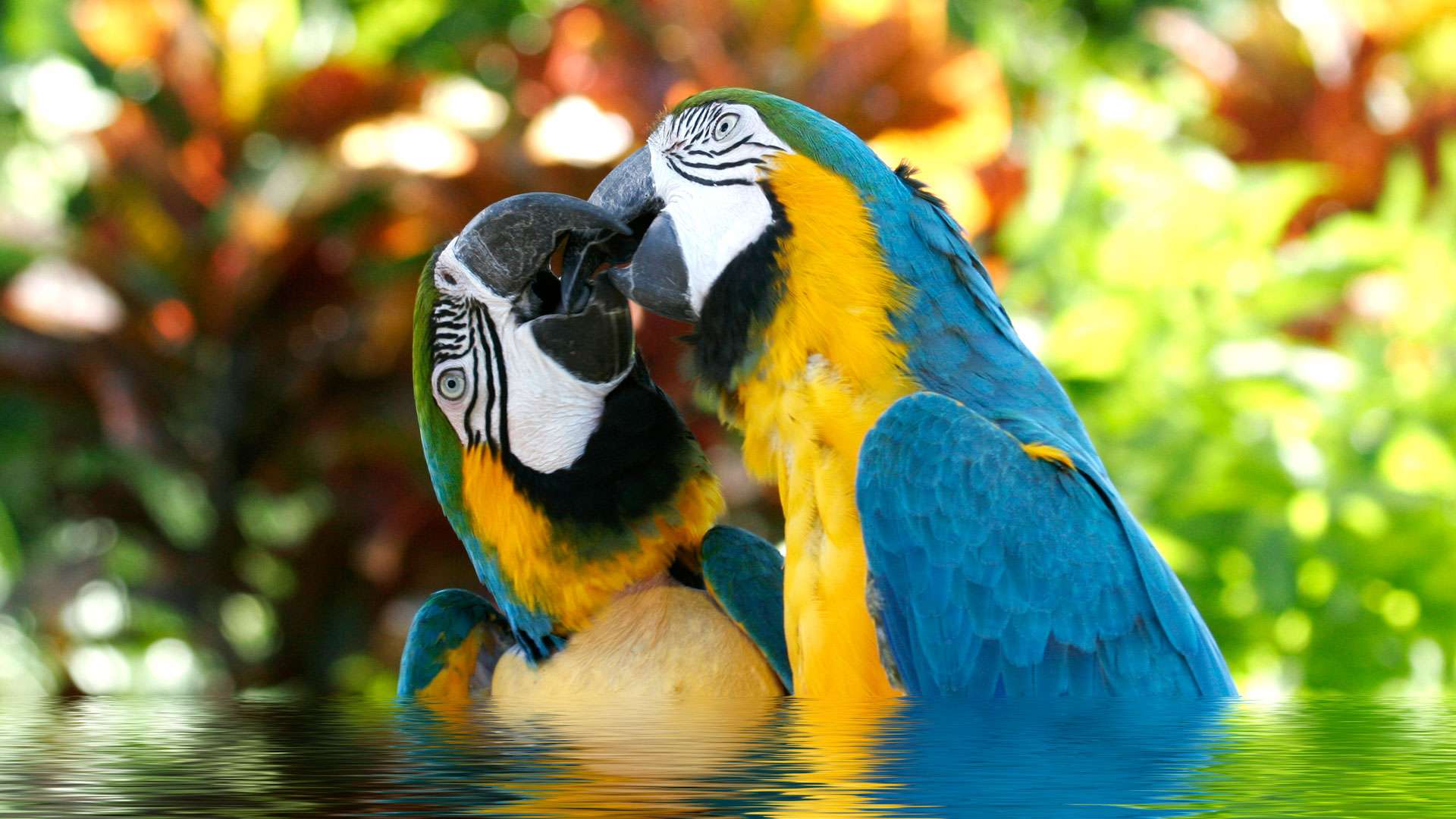 Biodiversity in Cancún