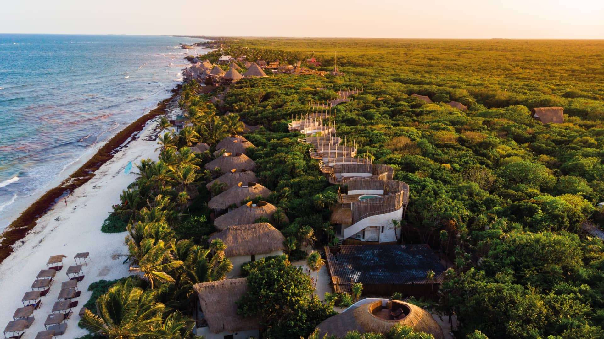 Playa y Selva en Tulum