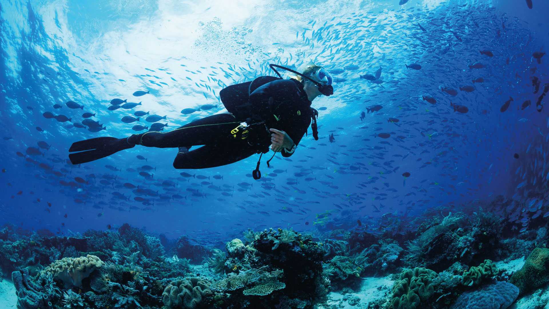 The reef in Cancun