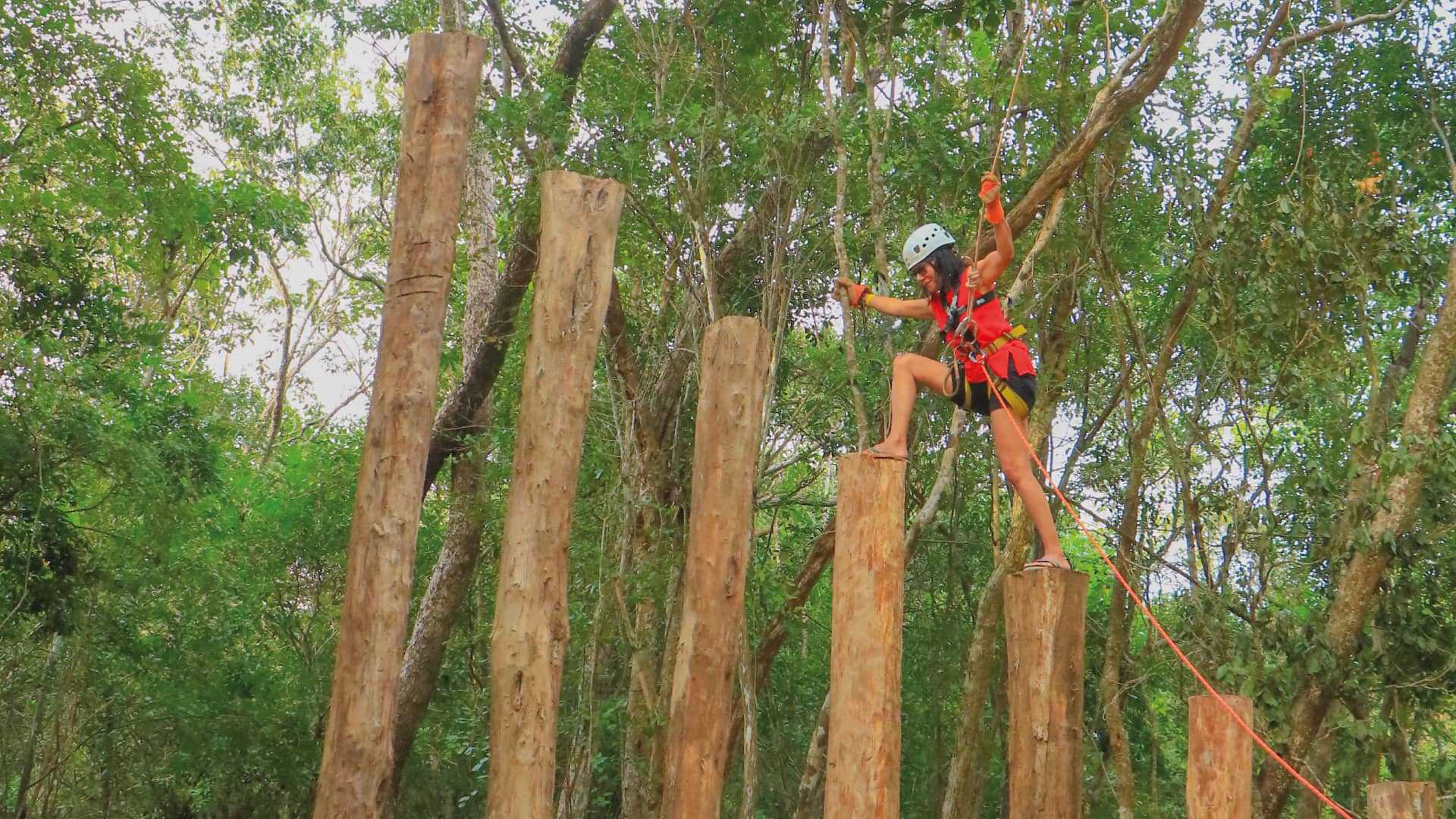 Tree climbing